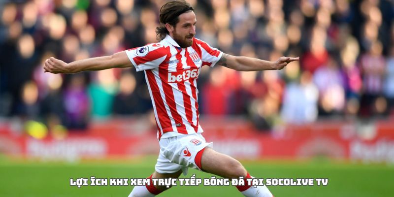 Lợi Ích Khi Xem Trực Tiếp Bóng Đá Tại Socolive TV